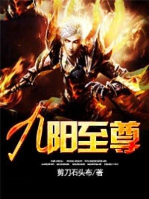 九阳至尊境界等级顺序