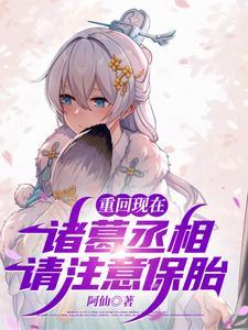 诸葛亮重生现代