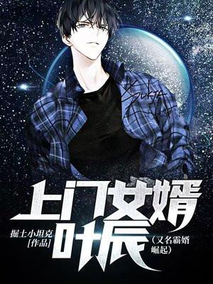 上门女婿叶辰全文免费阅读