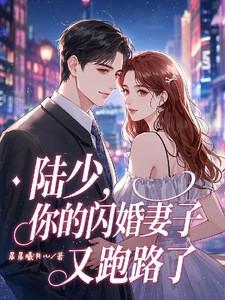 闪婚蜜爱陆少夫人好意外