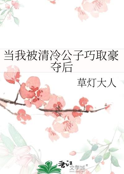当我被清冷公子巧取豪夺后晋江