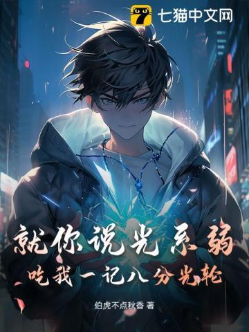 八分光轮有段位