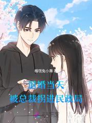 退婚美女总裁