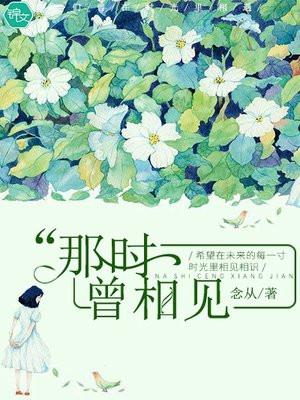 曾经那时的意思