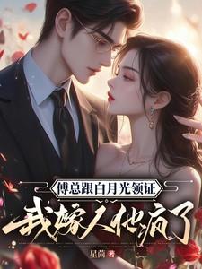 我嫁人他疯了(完结)