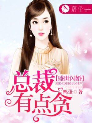 盛世闪婚总裁有点贪的