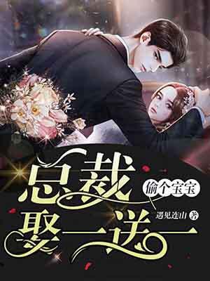 偷个宝宝总裁娶一送一偷个宝宝总裁娶一送一