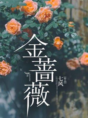 蔷薇花语