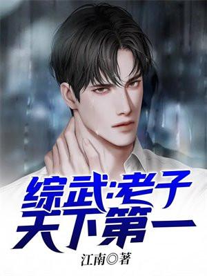 综武老子天下第一 目录共1585章