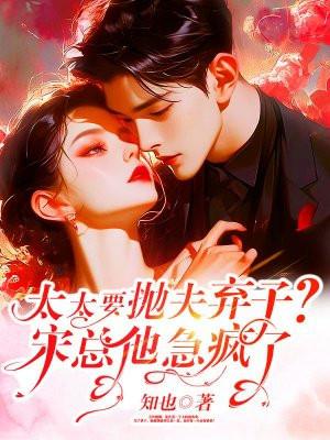 宋太太复婚吧全文免费阅读林浅兮