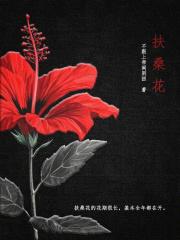 扶桑花的养殖方法