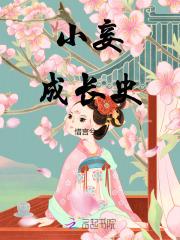 小妾是这样炼成的