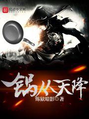 锅从天降全集免费观看