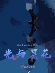 昙花喜欢光吗
