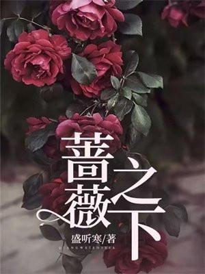 蔷薇之下是什么意思