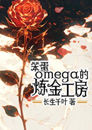 笨蛋omega的炼金工房作者废文