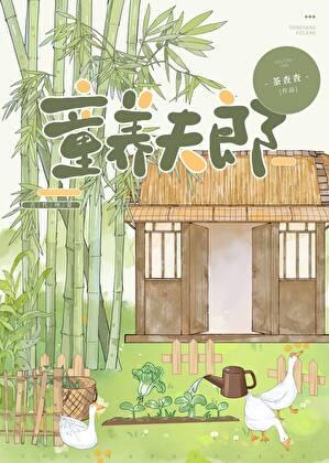 裴家夫郎全文免费阅