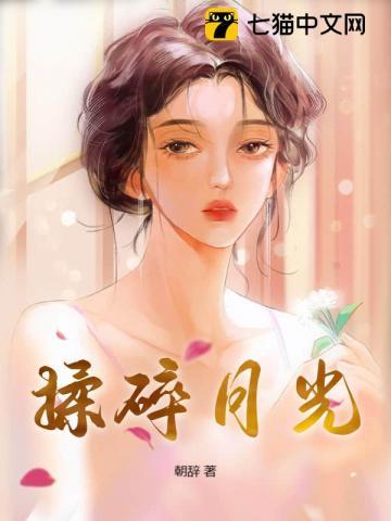 揉碎月光全文免费阅读