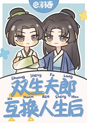 双生夫郎互换人生后txt阅读