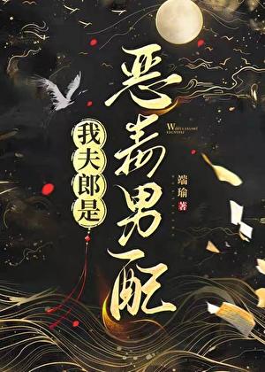 我夫郎是恶毒男配端
